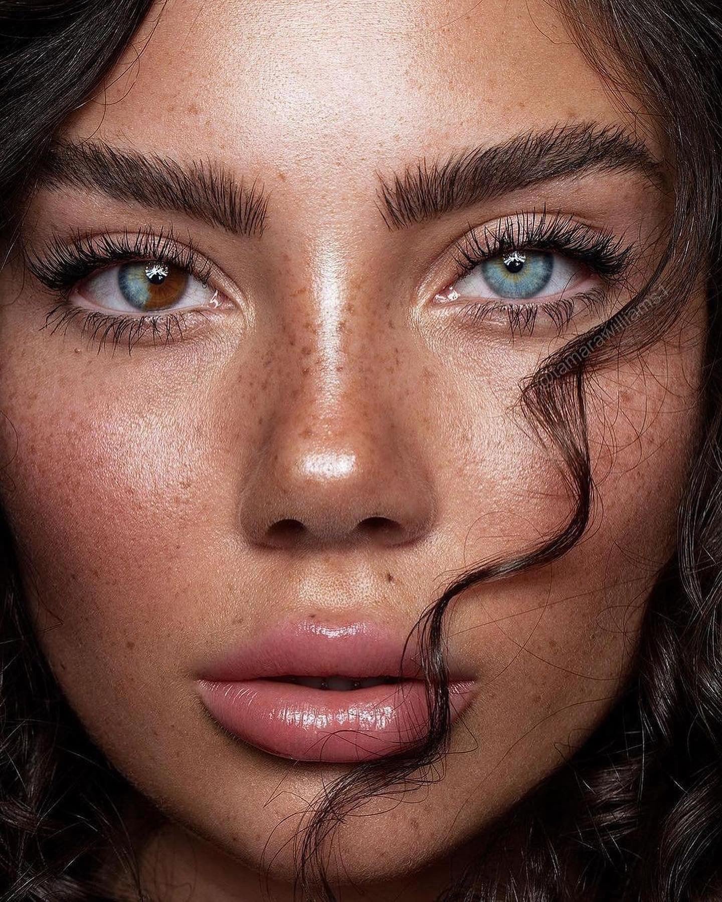 LASH BUNDLE